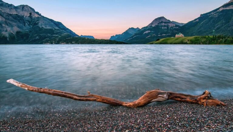 Waterton Lakes Kanada Satyrium butterfly, vlasáč motýl