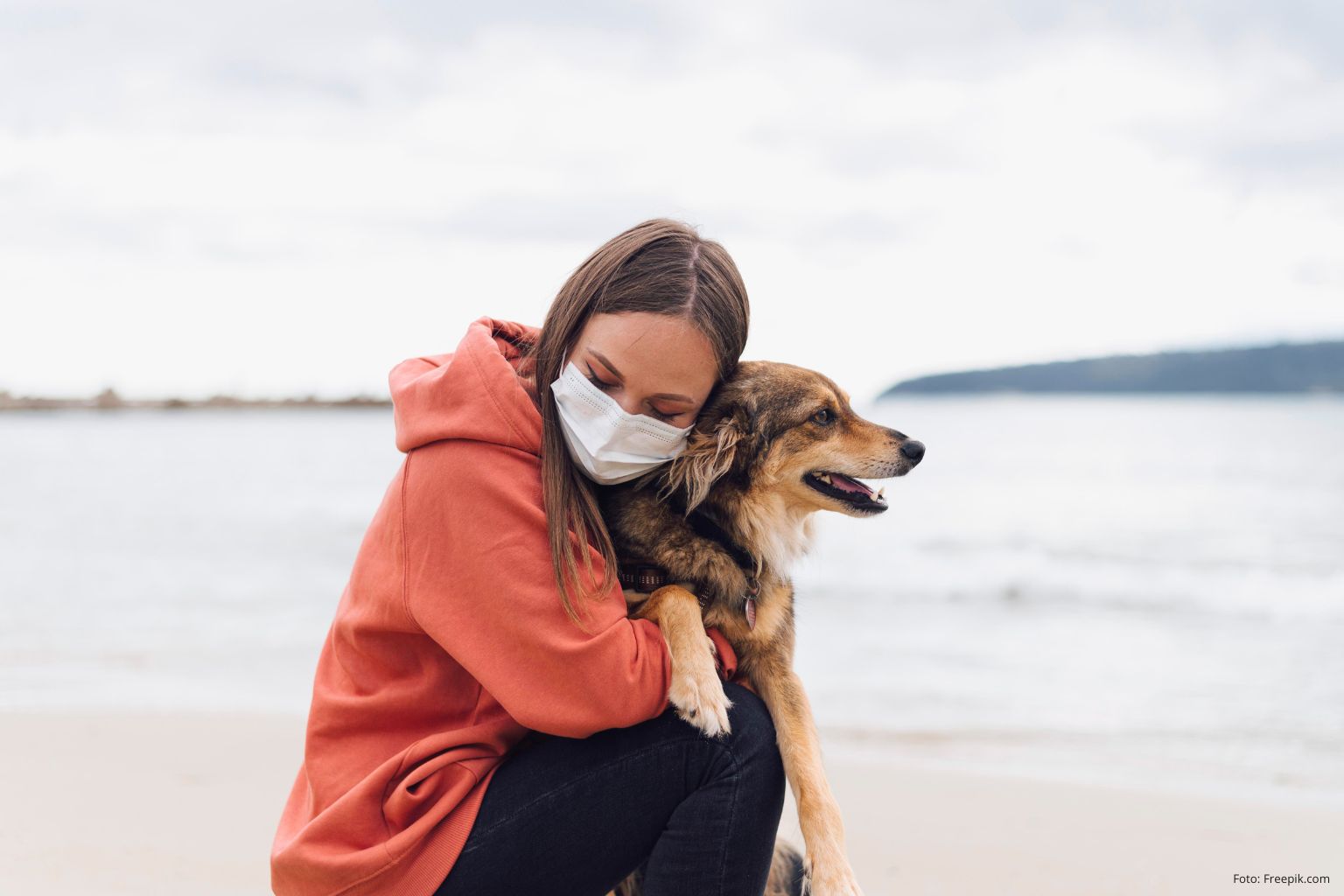 Psi umí vycítit nemoc